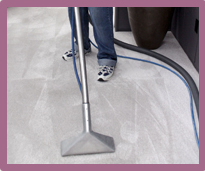 Carpet Steam Cleaning